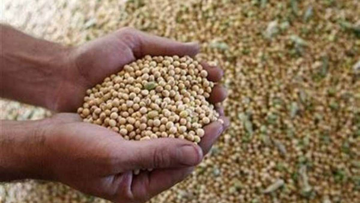 खरिपासाठी ५० हजार क्विंटल बियाण्यांचा पुरवठा