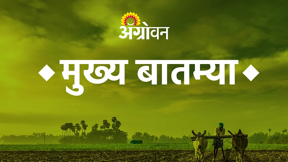 Government Scheme