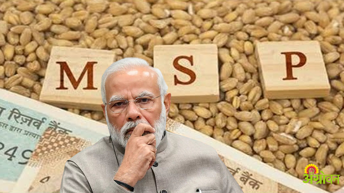 मोदी सरकारने खरंच दीडपट हमीभाव दिले का?