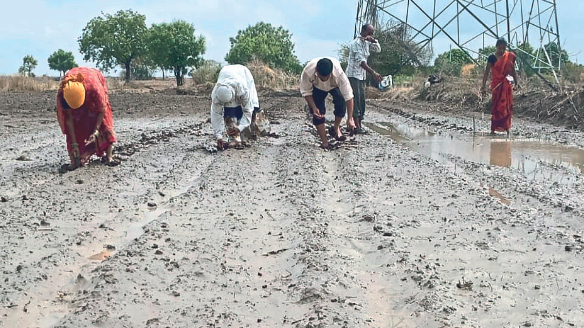 राज्यात अनेक भागात बरसल्या सरी