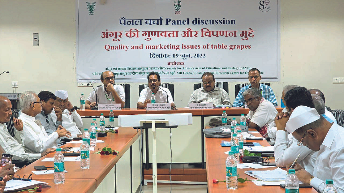 द्राक्षाच्या गुणवत्तेवर हवे सर्वाधिक लक्ष