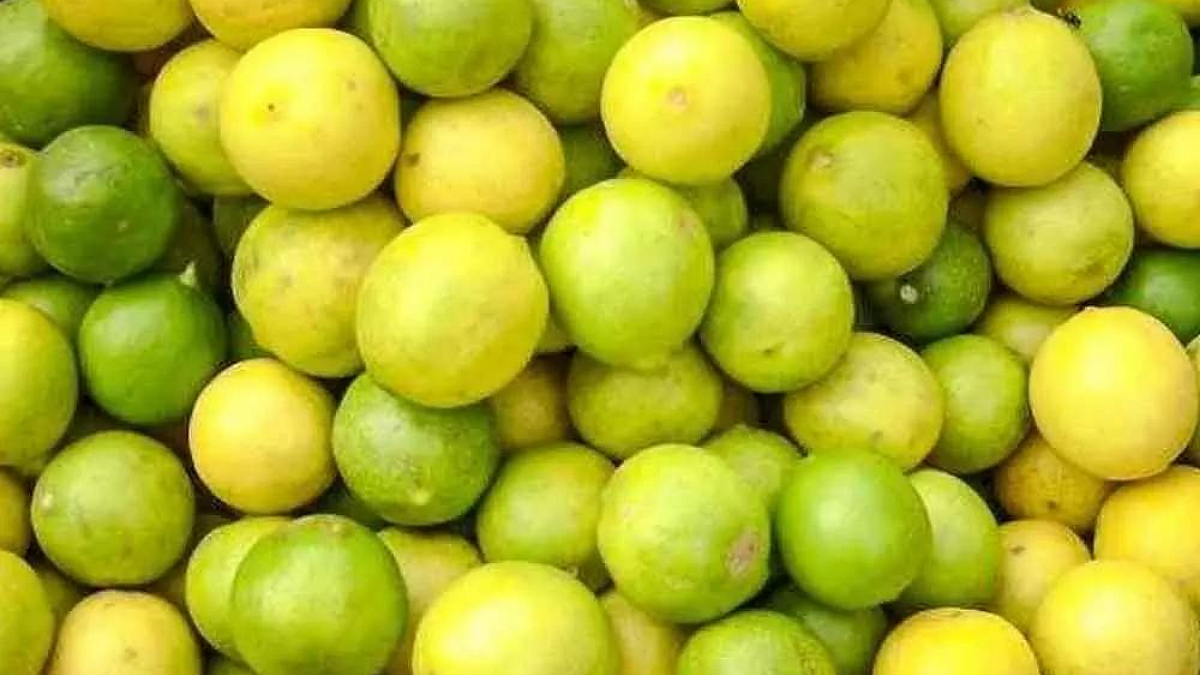 लिंबू फळपिकासाठी विमा योजना