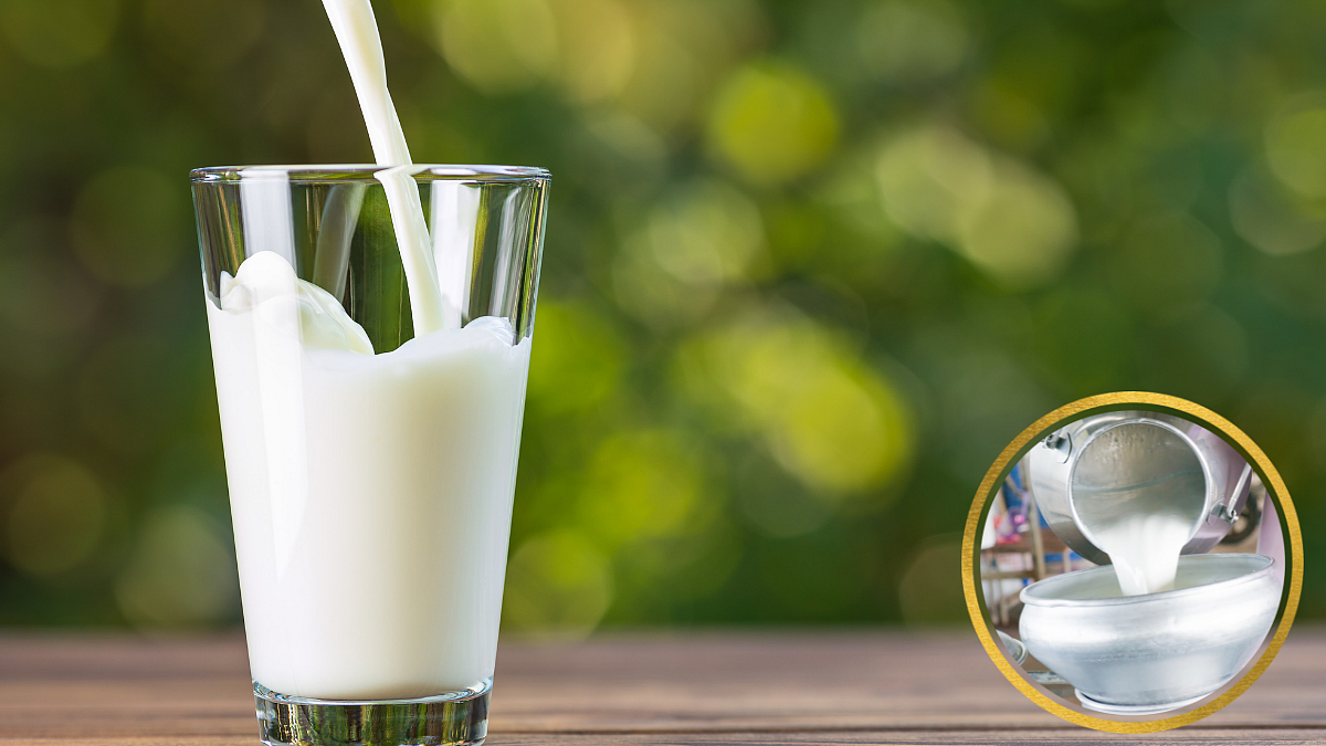 Types of adulteration in milk