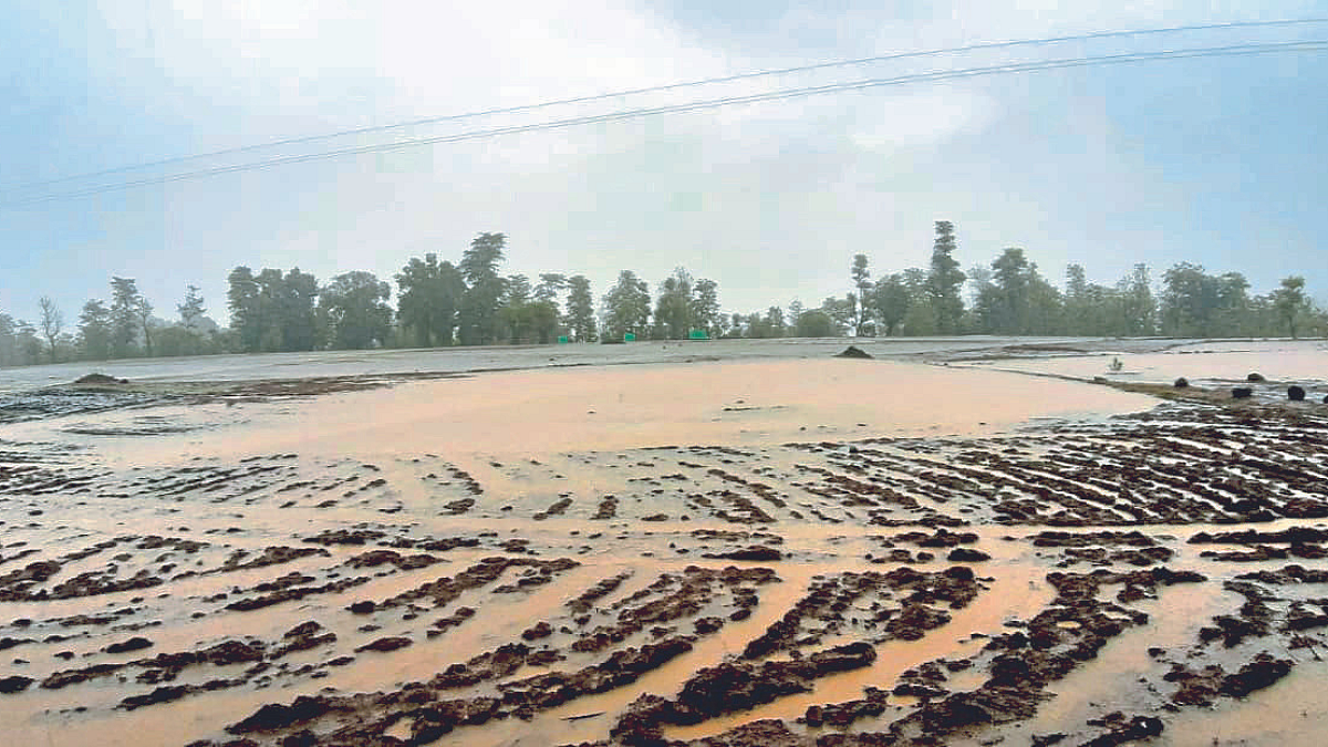 मुंबईसह कोकणात पावसाची संततधार