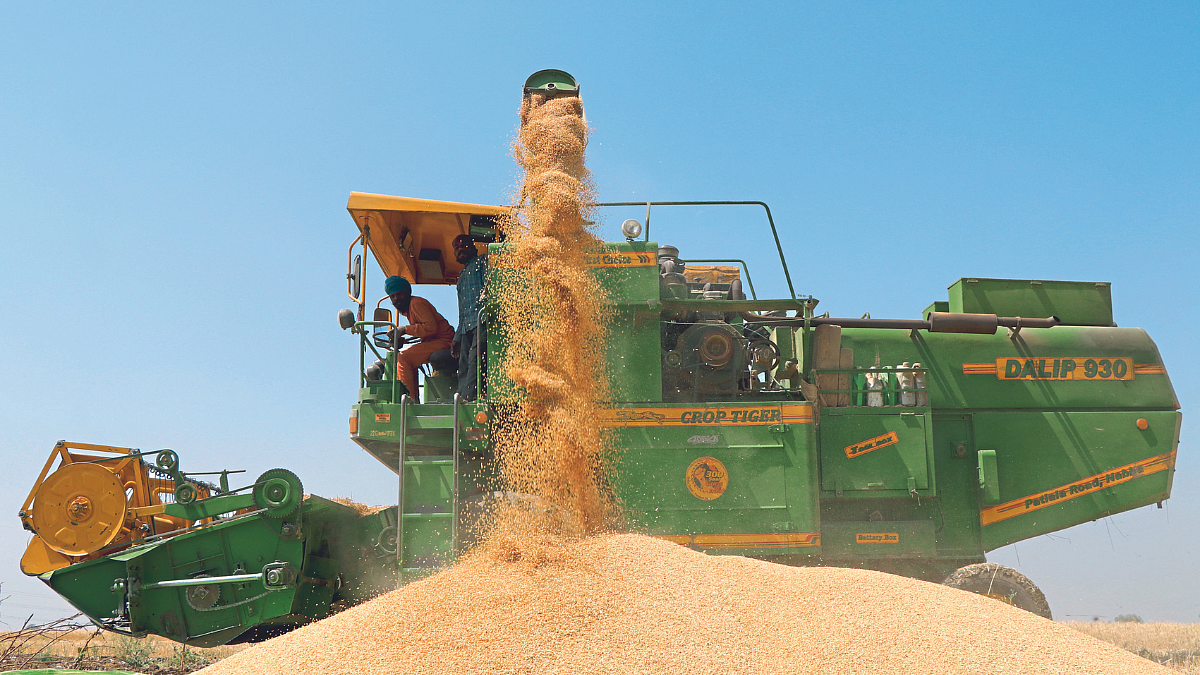Wheat Export
