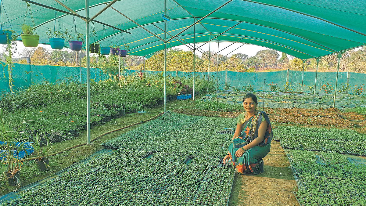 दुर्गम, डोंगराळ भागात यशस्वी ‘नर्सरी’ व्यवसाय
