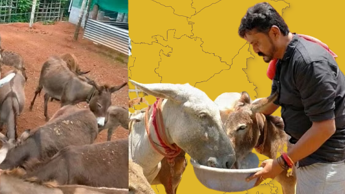 देशातील दुसरा डॉंकी फार्म कर्नाटकात