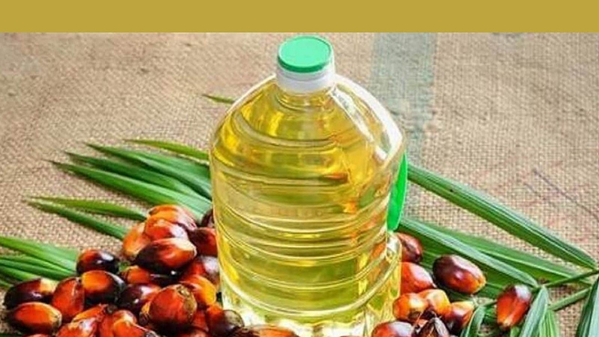 Palm Oil Import