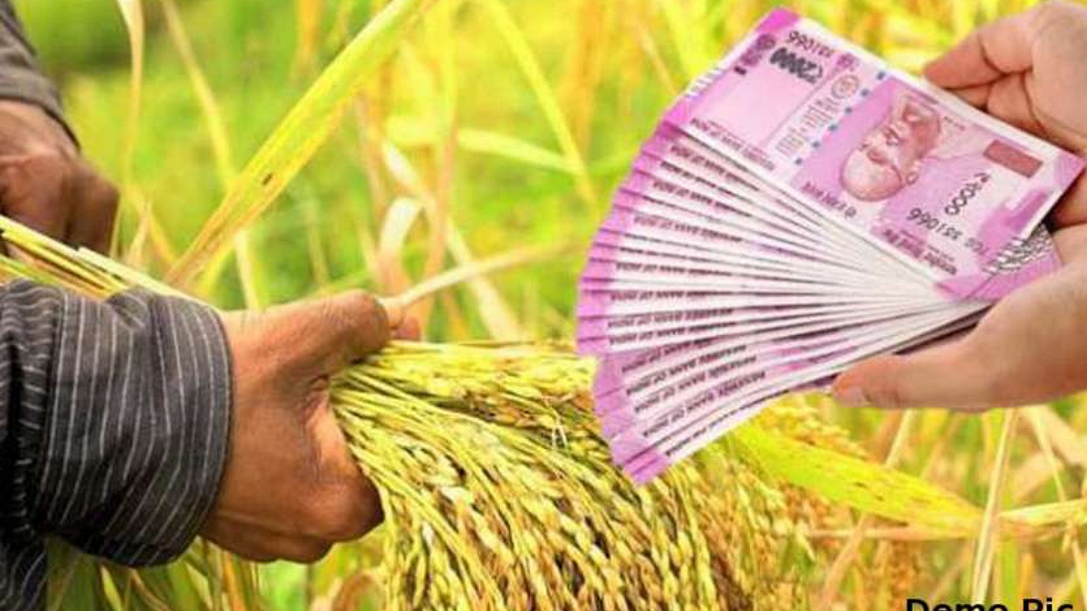 Farmer Loan Waive