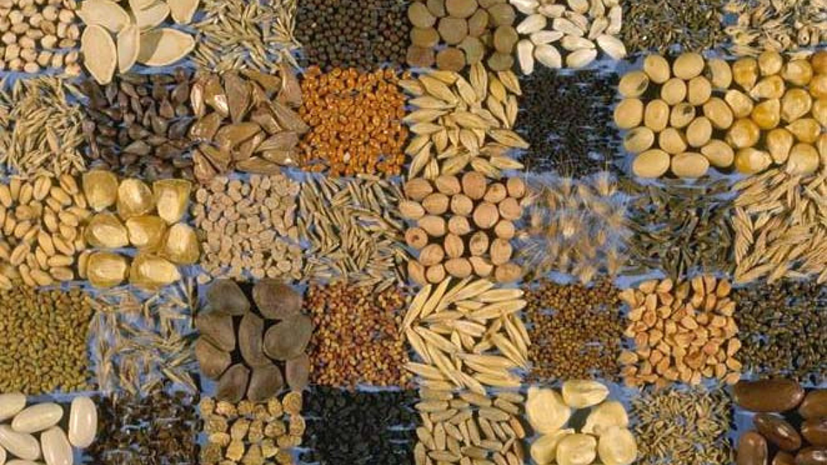 Commodities