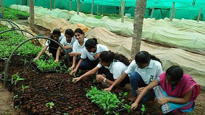 Agriculture courses