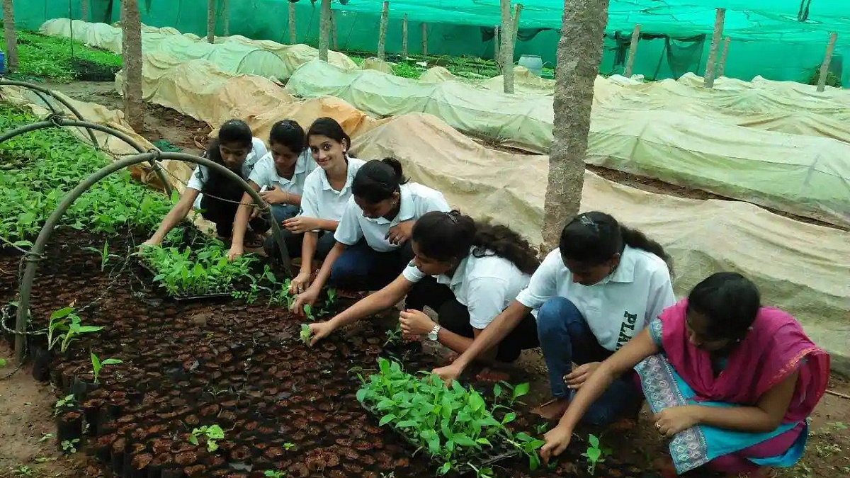 Agriculture Coerces