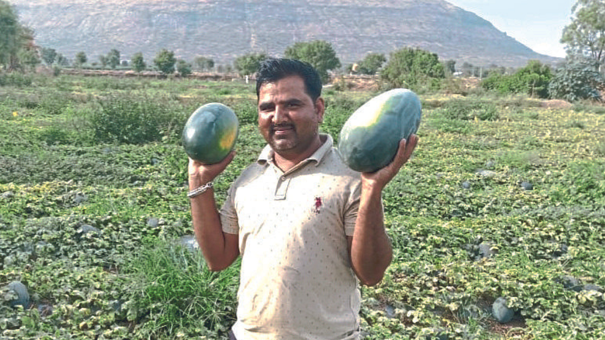 एकाच शेतात घेतले टरबुजाचे दुबार पीक
