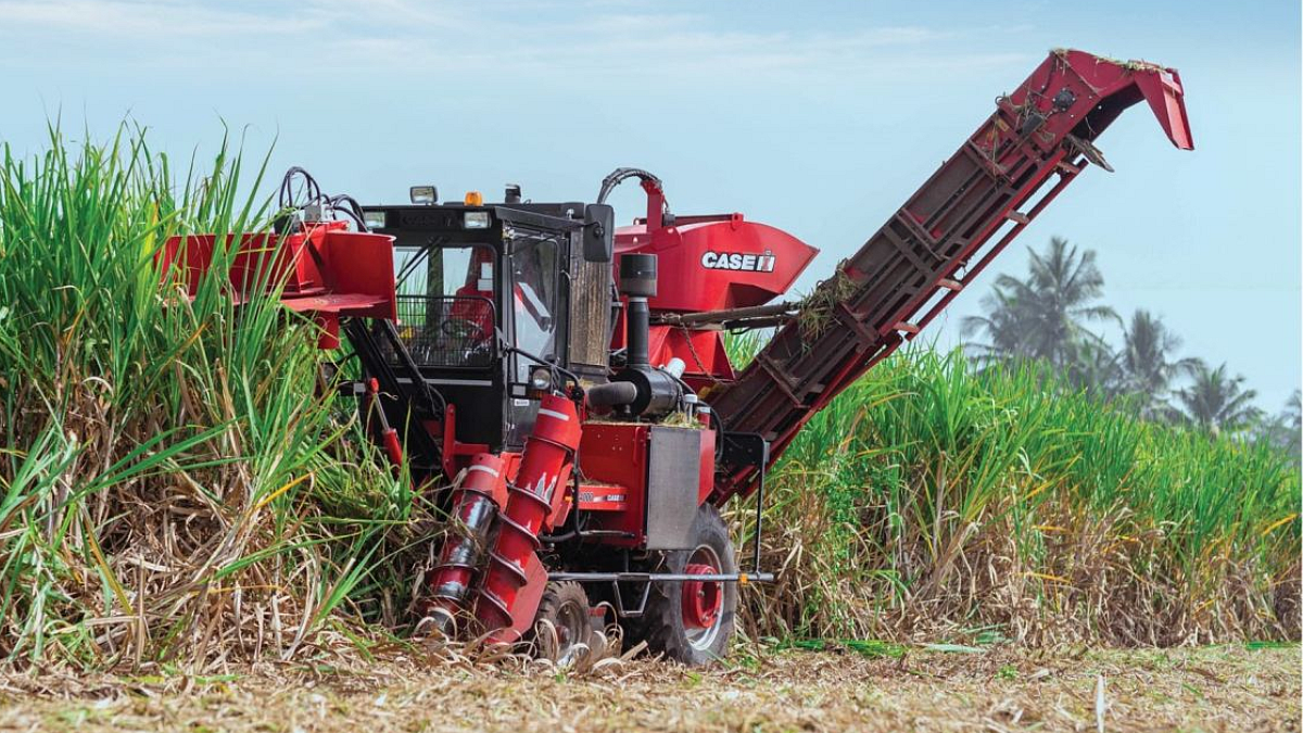 Sugarcan Cutter
