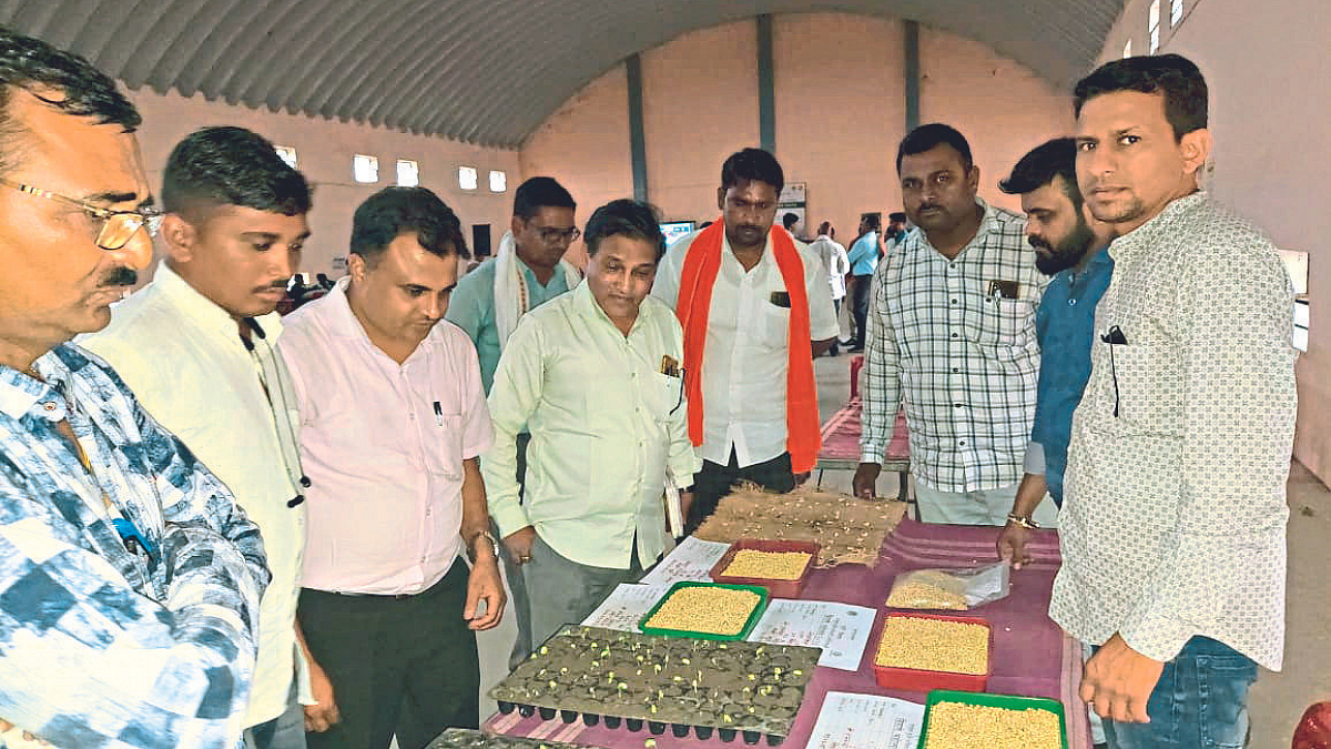 बार्शीटाकळीमध्ये बियाणे महोत्सवास मोठा प्रतिसाद