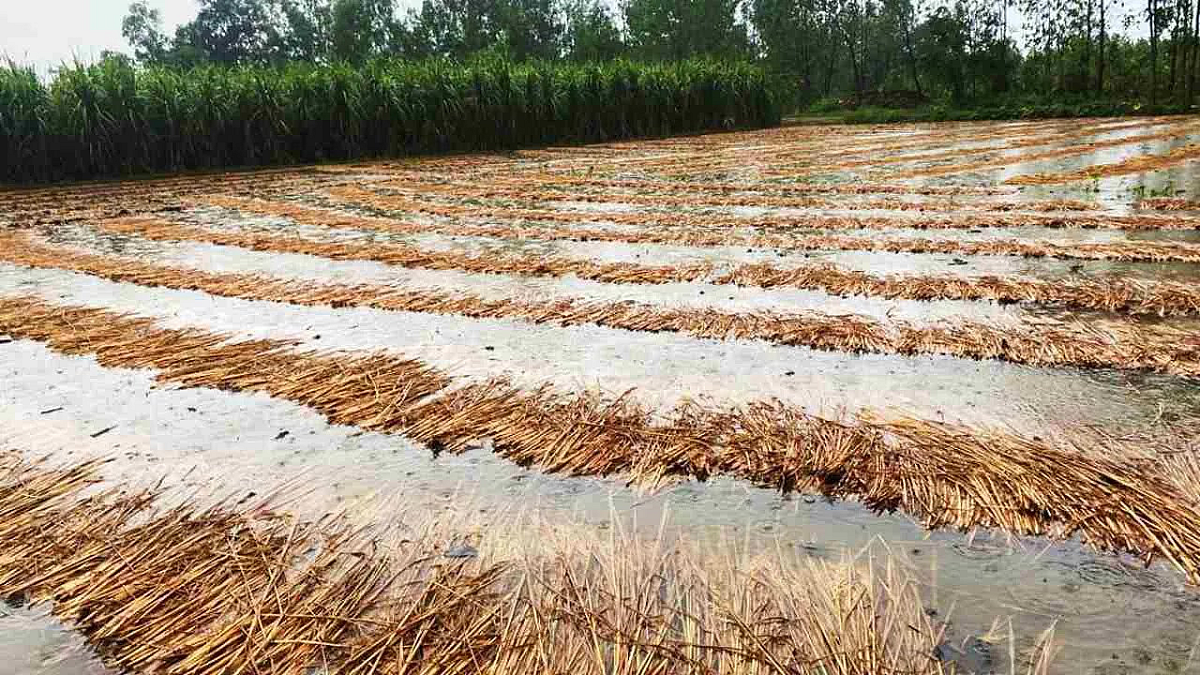 Damage Due To Heavy Rain