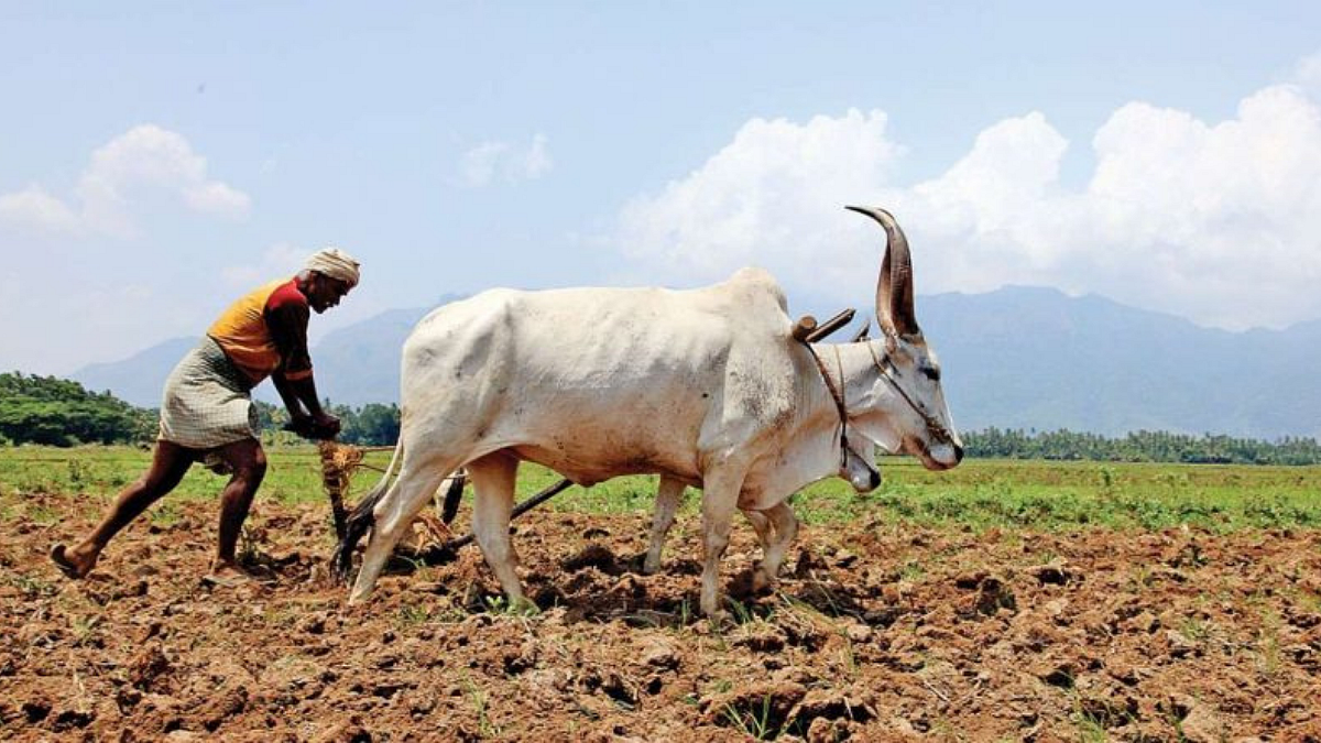 शेतकरी अपघात विमा योजना नव्या रूपात शक्य