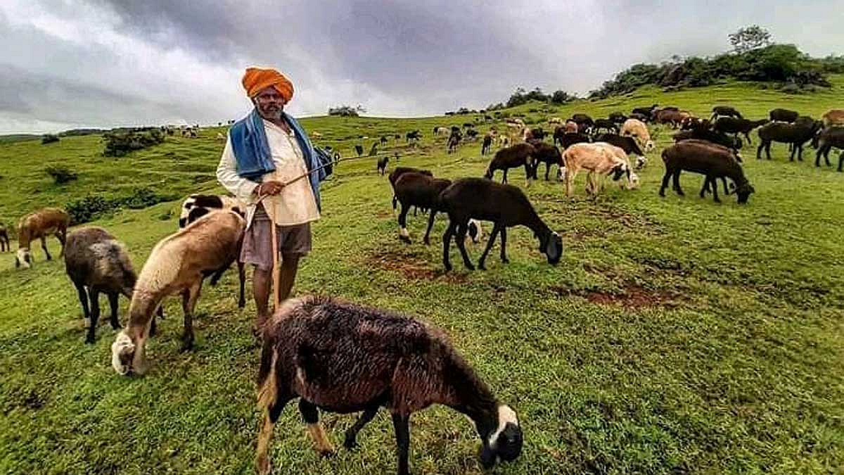 वावर रंगवणे म्हणजे काय?