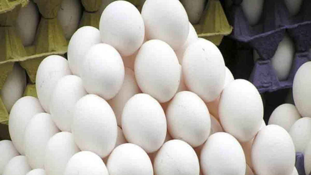 Egg Market Rate