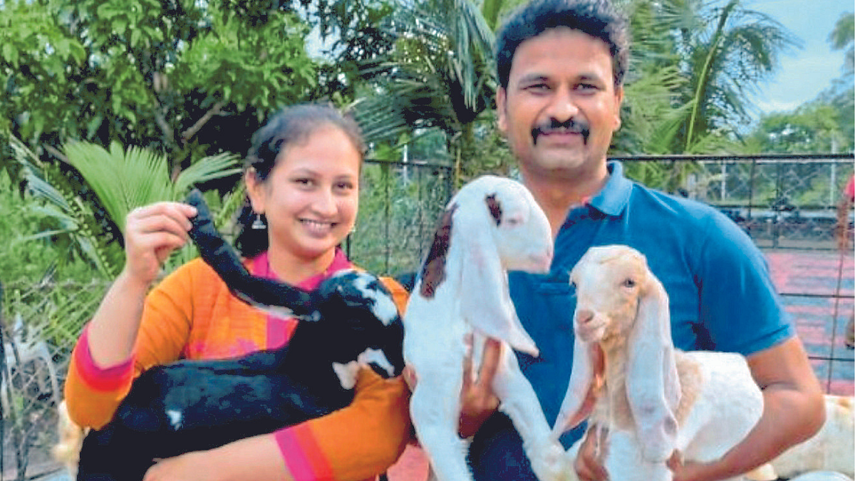 फळबाग, शेळीपालनातून शेतीचे स्वप्न साकार....