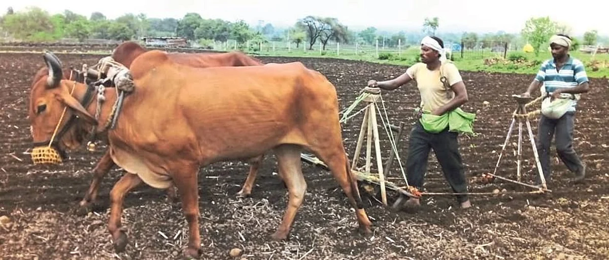 विक्रमी खरीप पेरणीचे उद्दिष्ट साध्य होईल का?