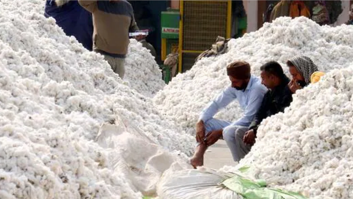 Cotton Price
