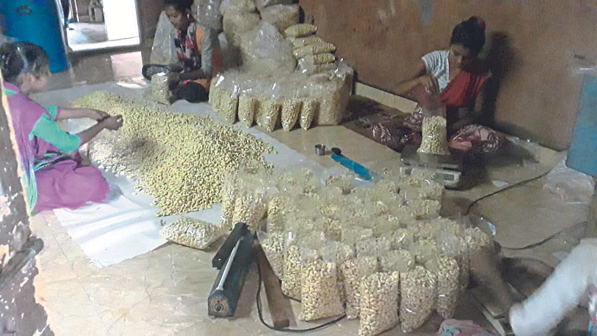 काजू प्रक्रियेतून आर्थिक स्वयंपूर्णता