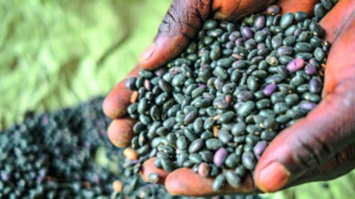 अन्नसुरक्षा ‘डब्लूटीओ’च्या कक्षेबाहेरच
