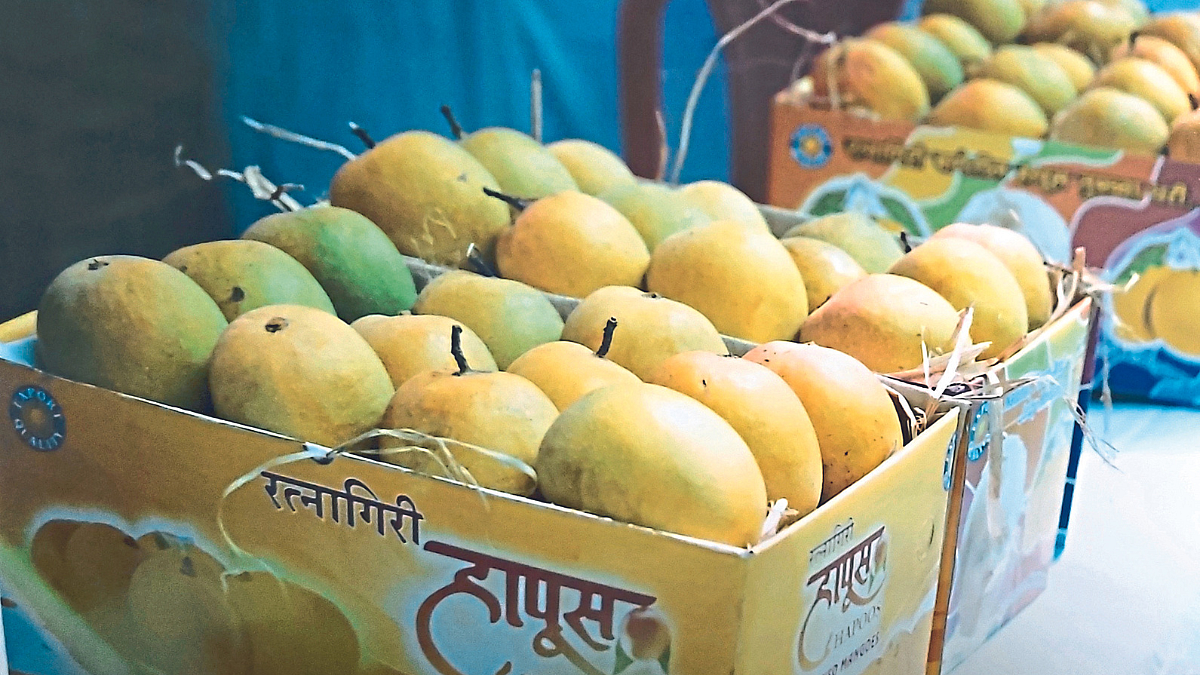 आंबा महोत्सवातून राज्यात १७ कोटींची उलाढाल