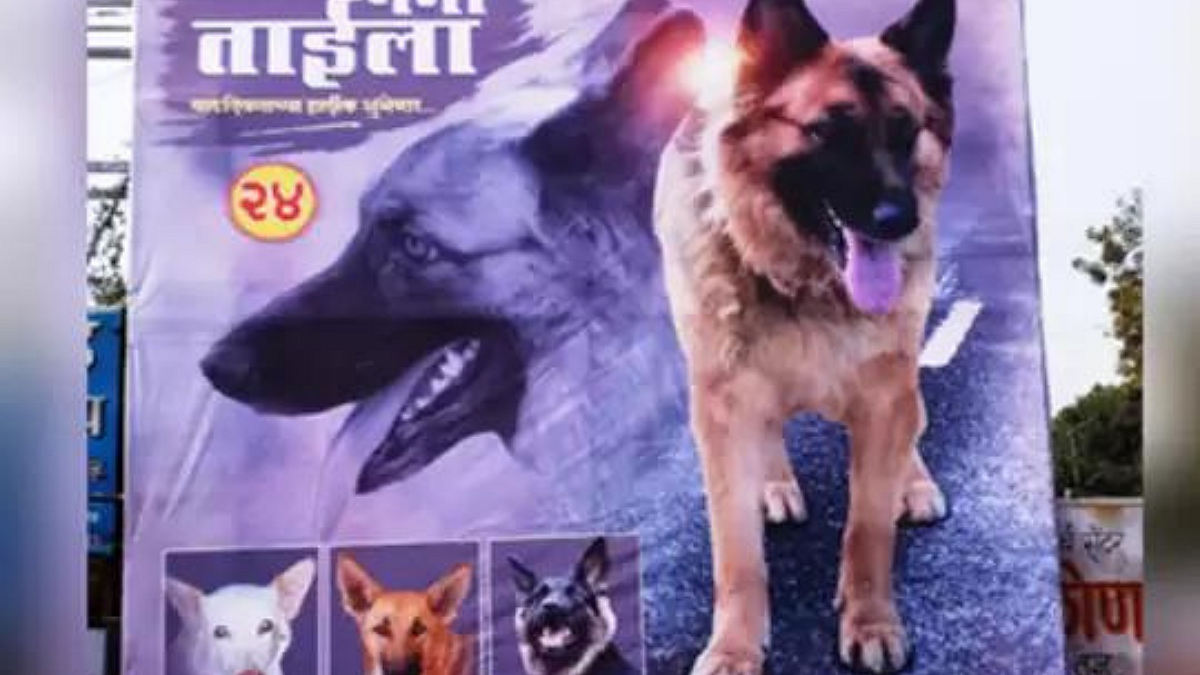 'फ्लेक्सजिवीं'ना विनंती...