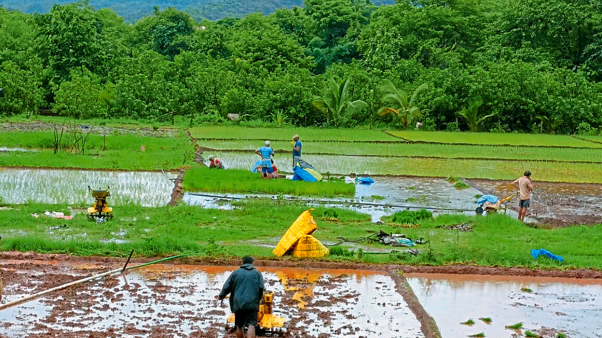 Rain Update