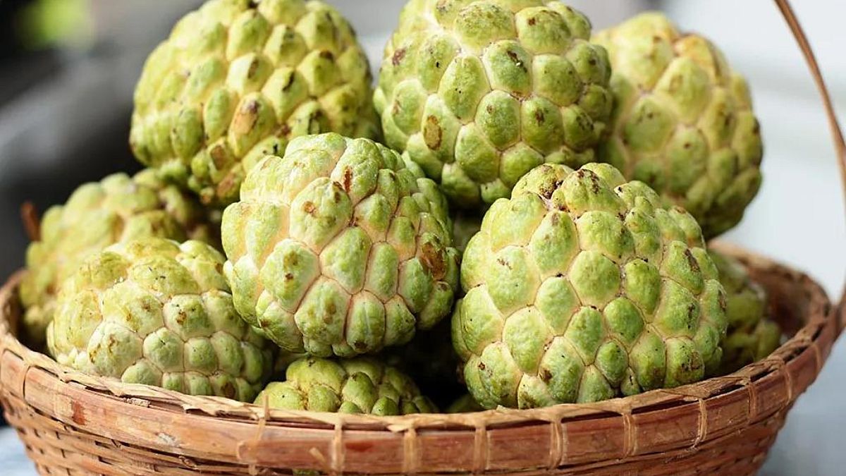 Custard Apple