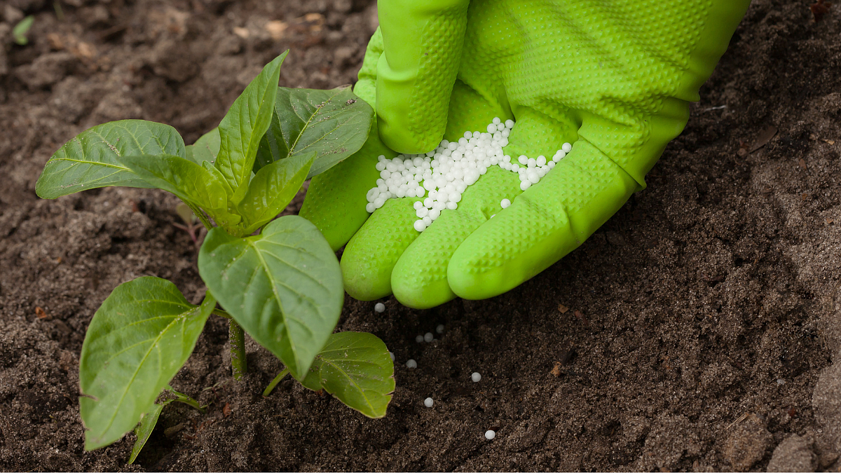 Fertilizer Application