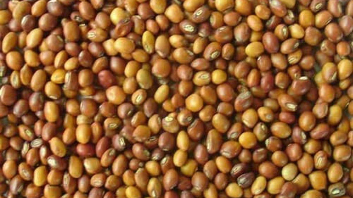 Tur And Urad market Rate