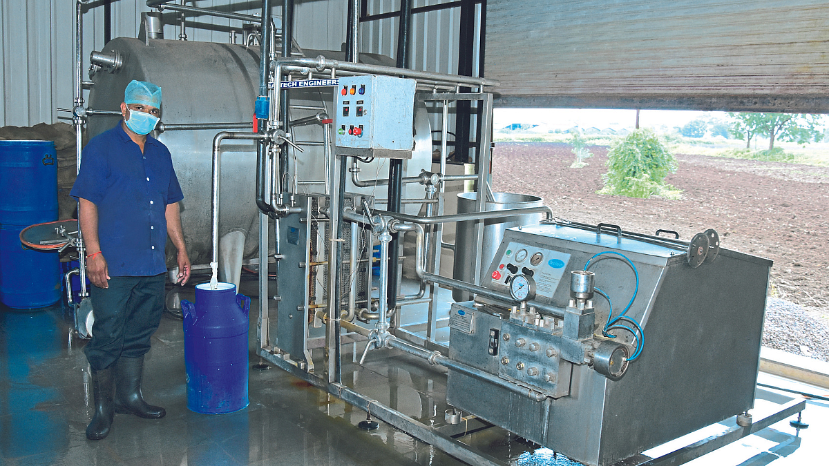 Dairy