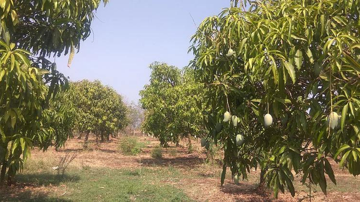 Indo-Israel Project