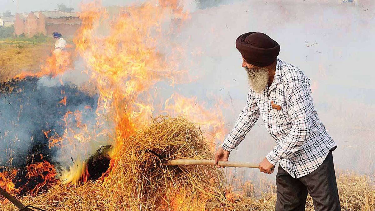 Stubble Burning