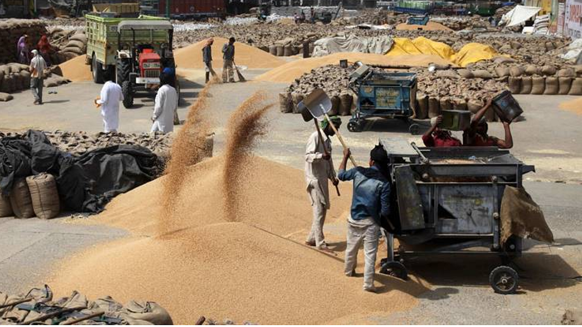 Wheat Export