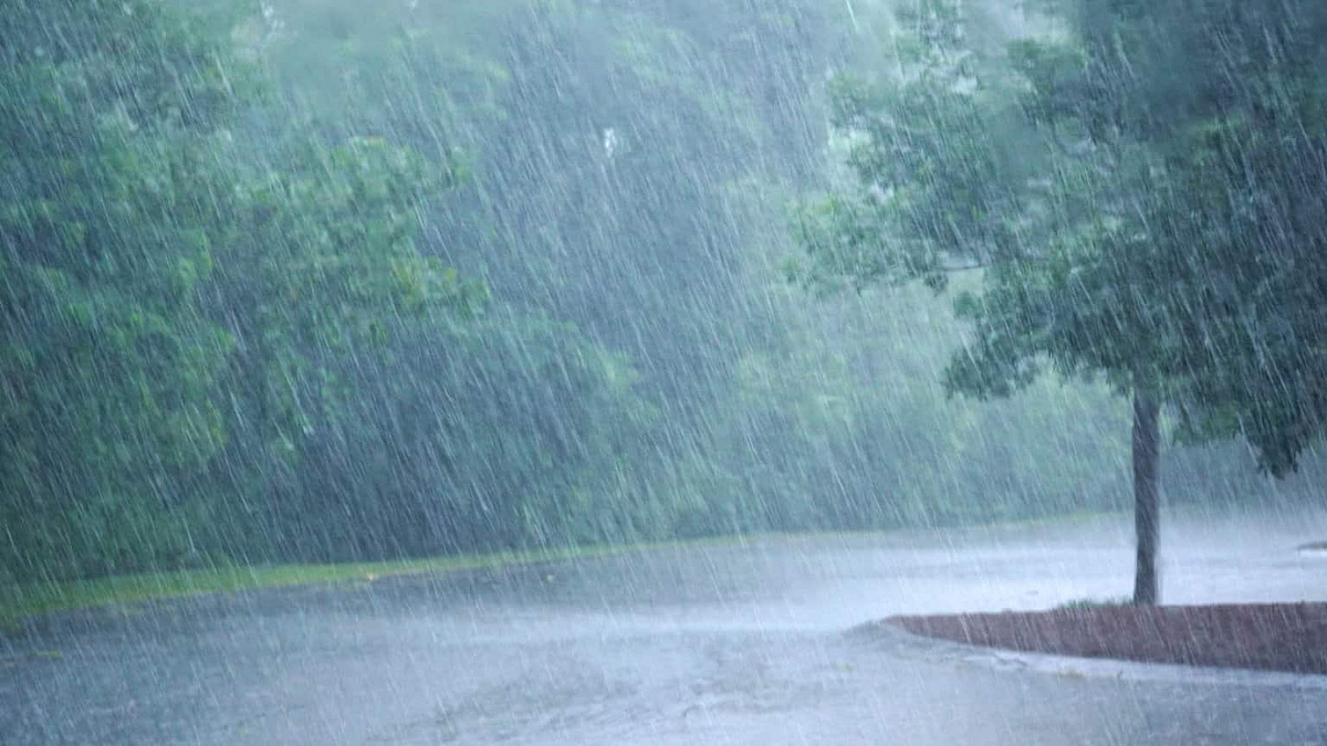 Rain Alert