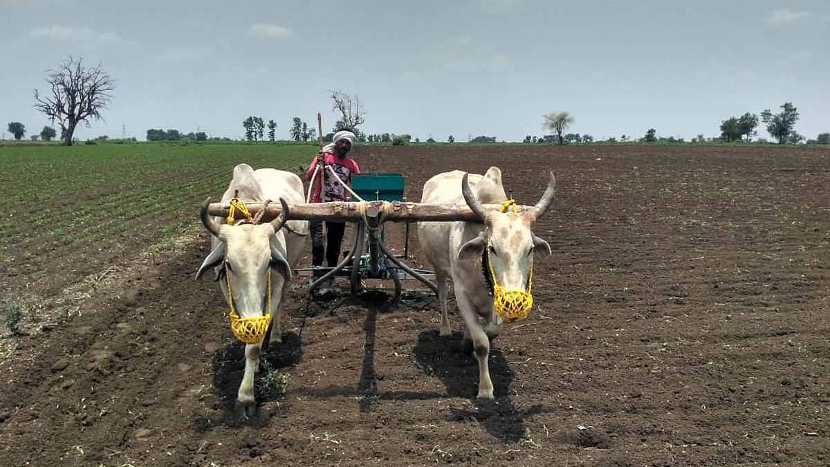 Maharashtra Farmer
