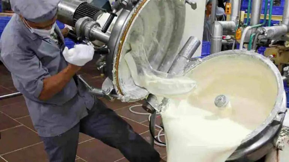 Amul Dairy