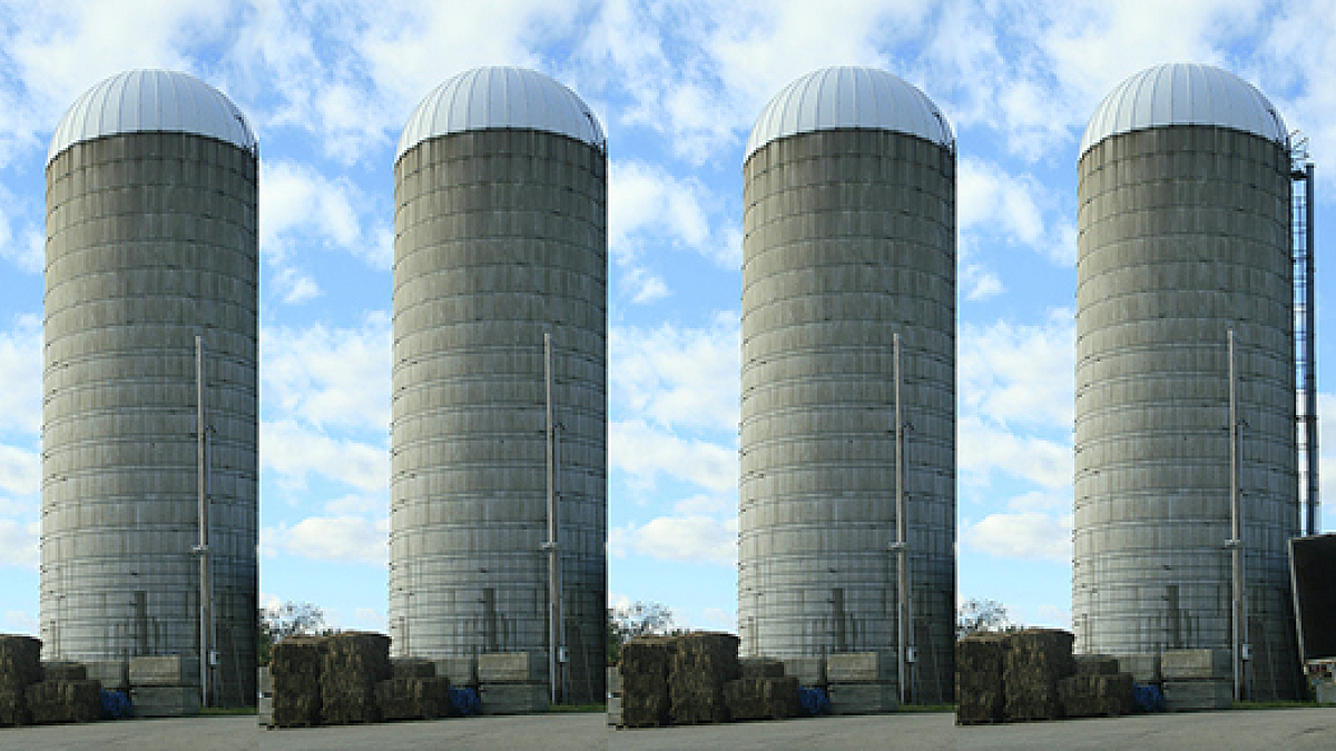 wheat silos