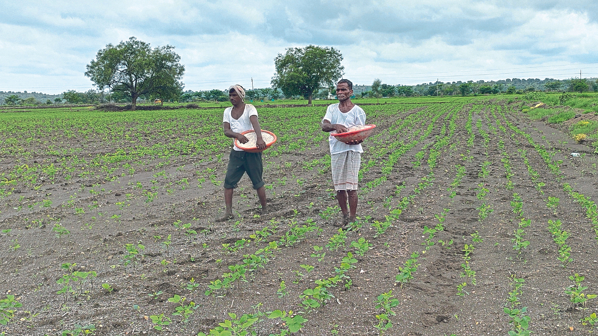 Crop Damage