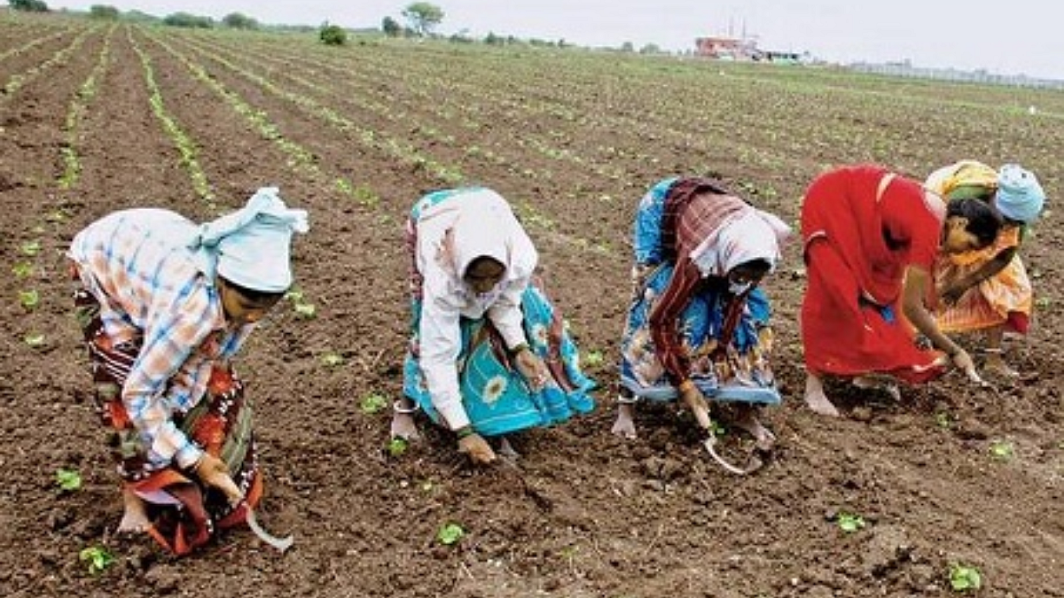 Kharip Sowing