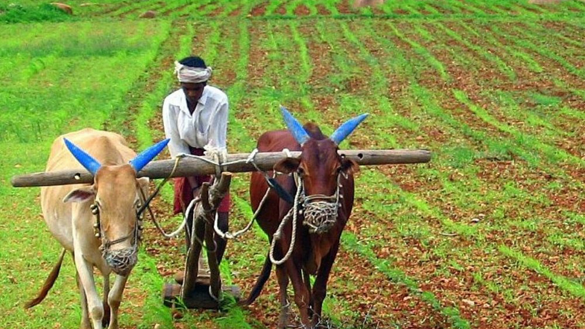 Agriculture Education