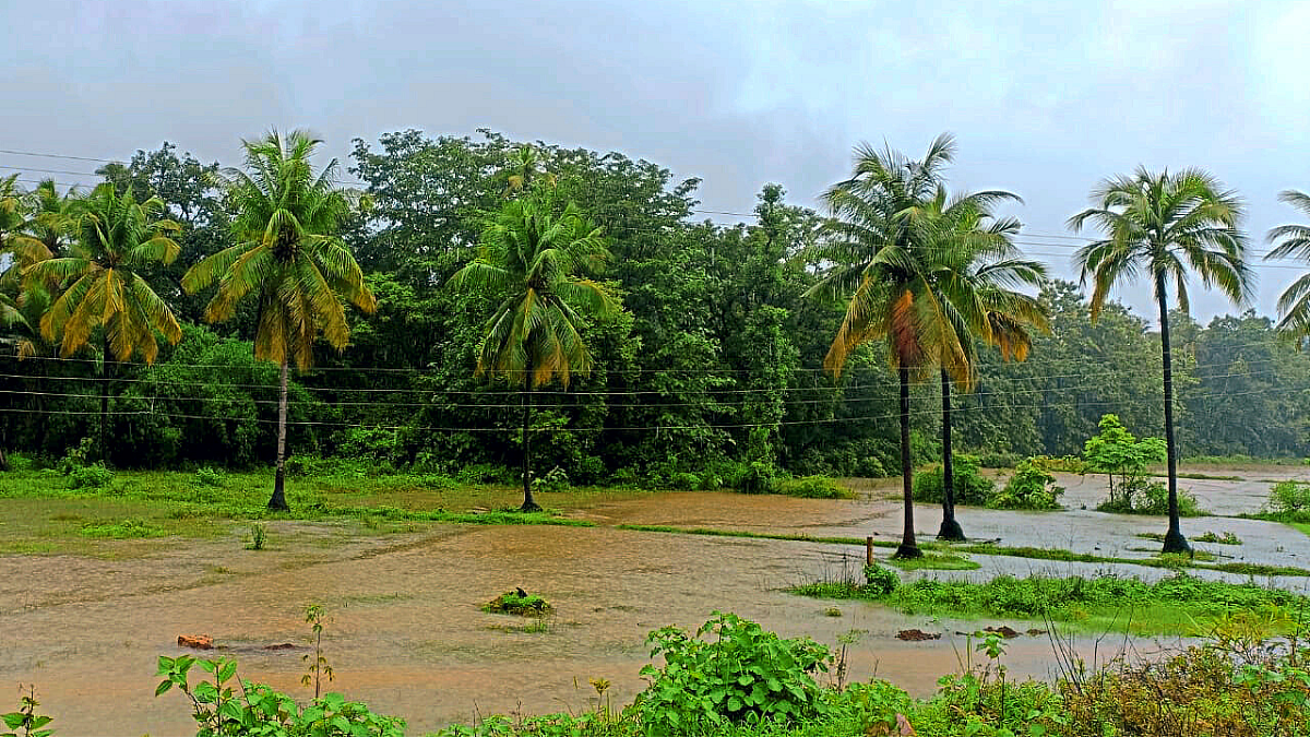 Heavy Rain