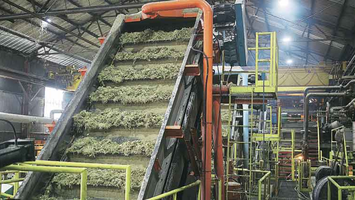 Sugar Mill