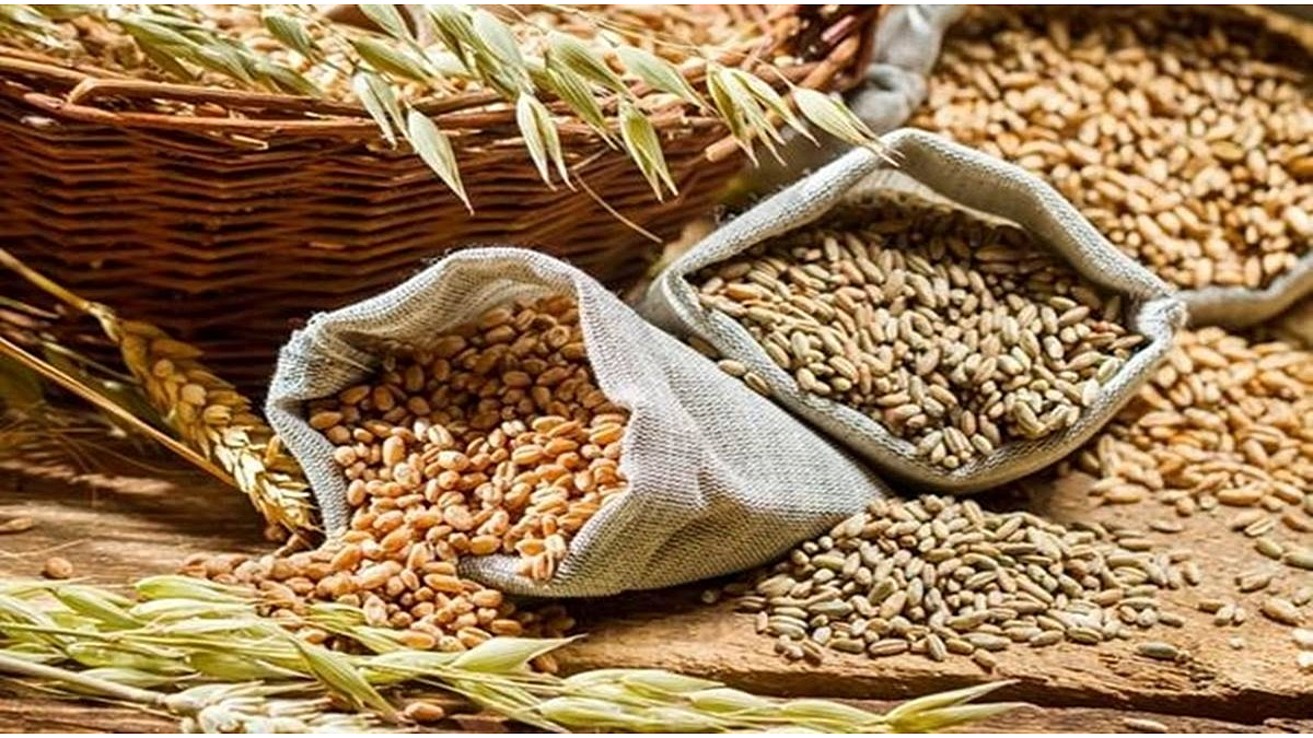 Wheat Export