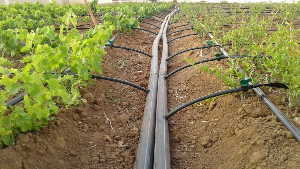 Irrigation