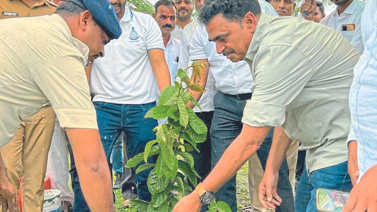Tree Planting
